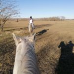 découverte de la puszta à cheval en Hongrie