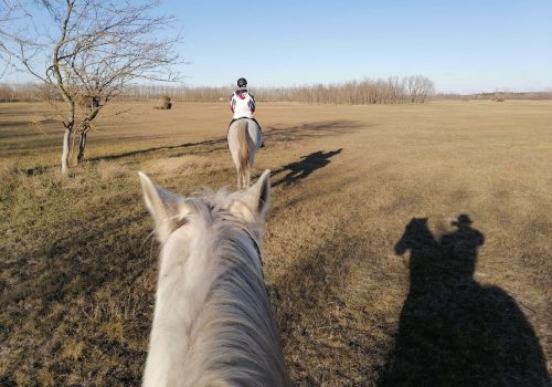 balade-cheval-puszta-hongrie découverte de la puszta à cheval en Hongrie